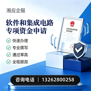 玉林软件和集成电路专项资金申报服务