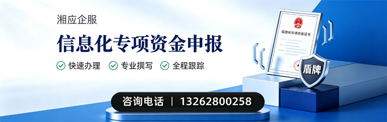 玉林信息化专项资金申报服务