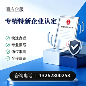 玉林专精特新企业申报服务