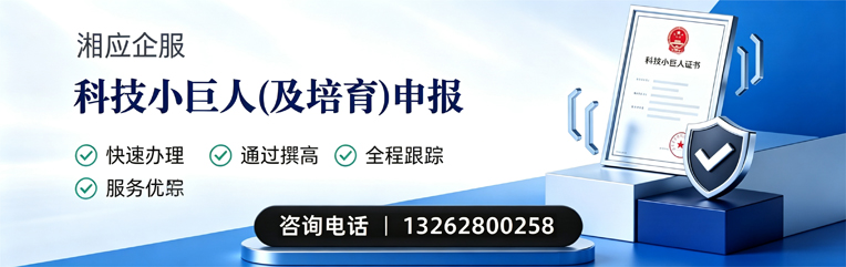 玉林科技小巨人及培育企业申报服务