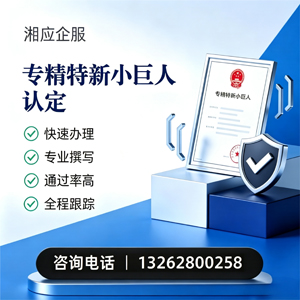 玉林专精特新小巨人申报服务