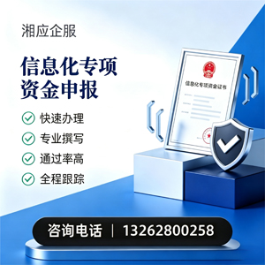 玉林信息化专项资金申报服务