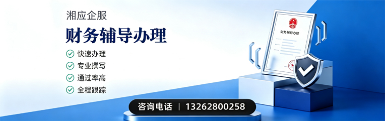 玉林财务辅导申请服务