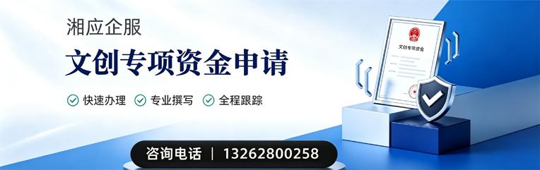 玉林文创专项资金申报服务