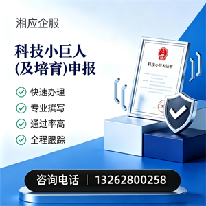 玉林科技小巨人及培育企业申报服务