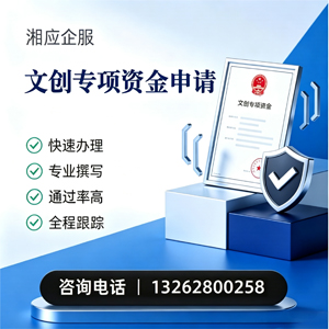 玉林文创专项资金申报服务