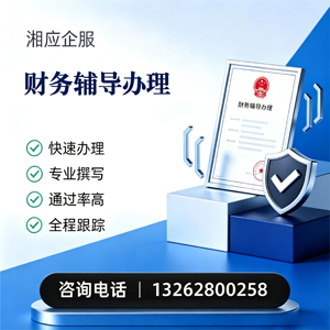 玉林财务辅导申请服务