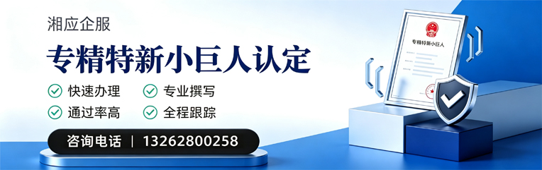 玉林专精特新小巨人申报服务